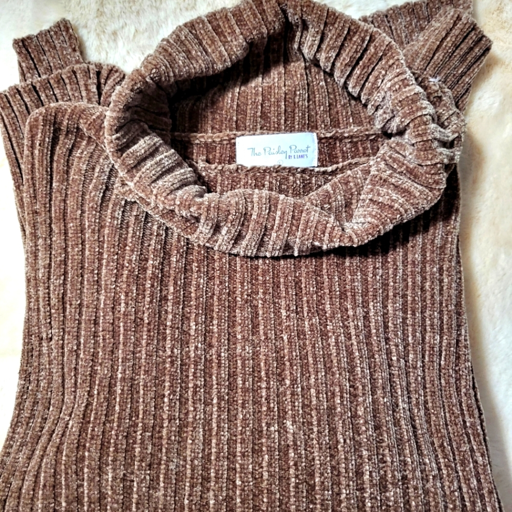 Paisley Parrot Turtleneck Tunic length Sweater